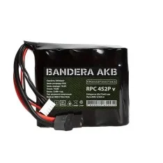 Акумуляторна батарея 4S2P 21700 Molicel INR21700-P42A вертикальна для FPV Bandera AKB Промавтоматика (ЦБ0022647)